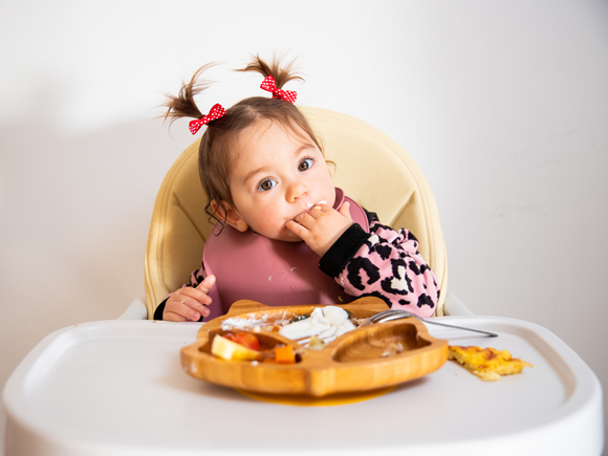 10 Month Old Food Ideas