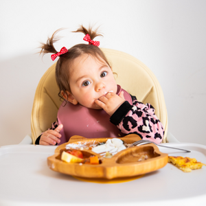 10 Month Old Food Ideas