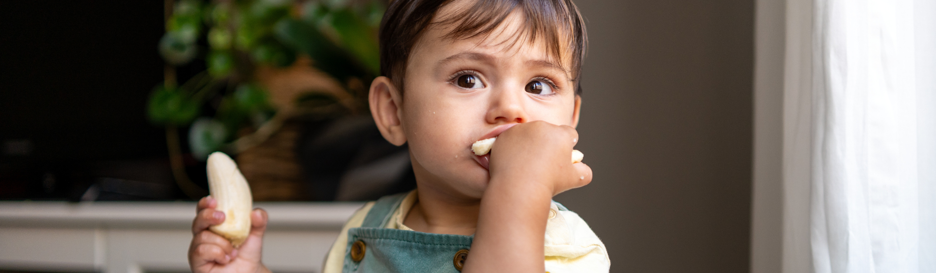 Toddler self feeding banana
