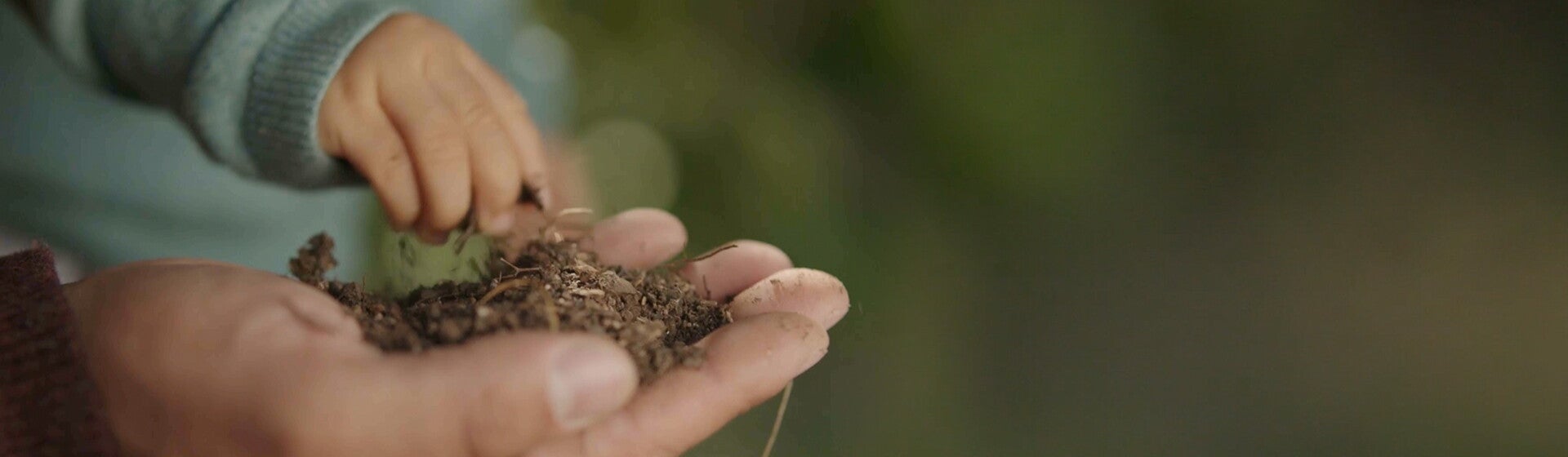 NAN Toddler Sustainability Header